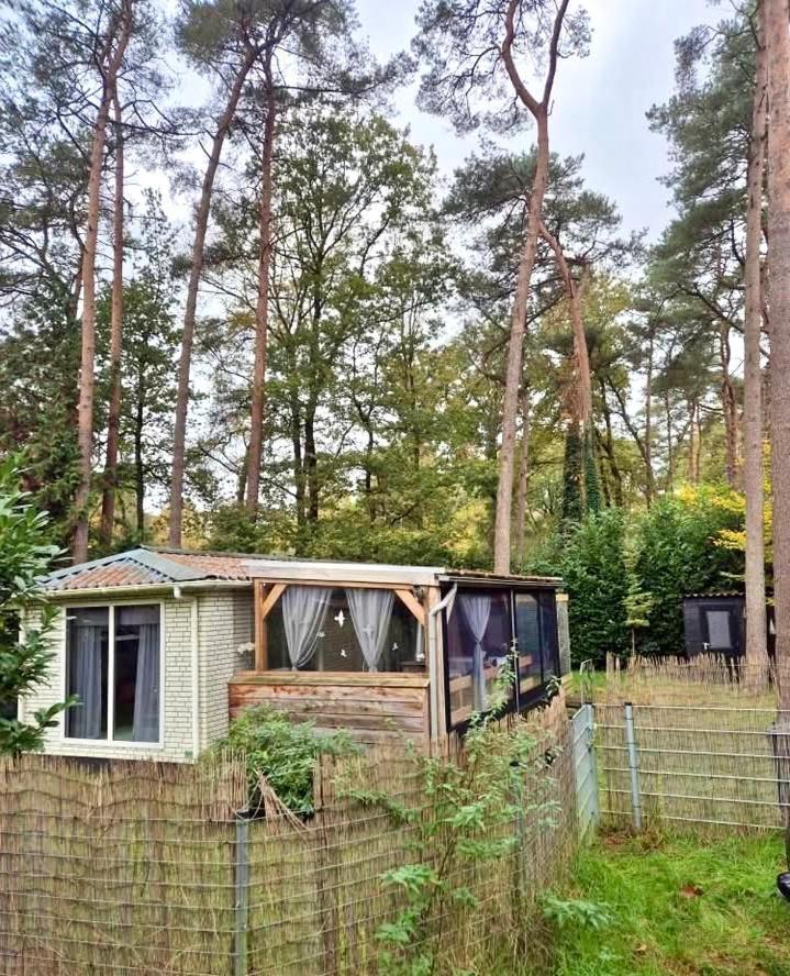 Cosy Chalet Veluwe With A Spacious Garden And Veranda Doornspijk Ngoại thất bức ảnh